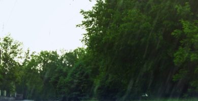 Disminución de las lluvias y aumento de la concentración de polvo sahariano para este domingo