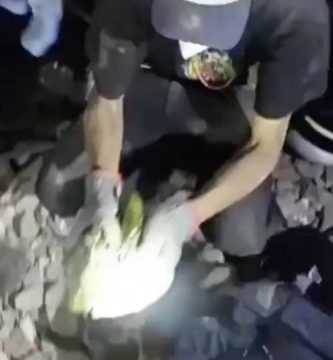 Muere “Panchito”, el loro rescatado tras los terremotos en La Guaira