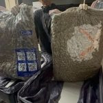 Abandonan maleta llena de marihuana en el Aeropuerto de Las Américas
