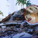 Nunca lo abandonó: Perro lamía a su dueño cuando se desmayaba bajo escombros