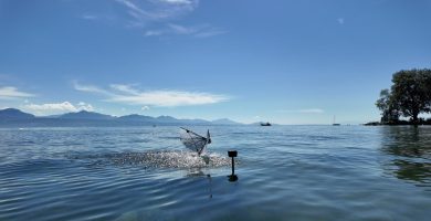 Un robot que nada y vuela como un ave buceadora, ¿una ayuda para la exploración oceánica?