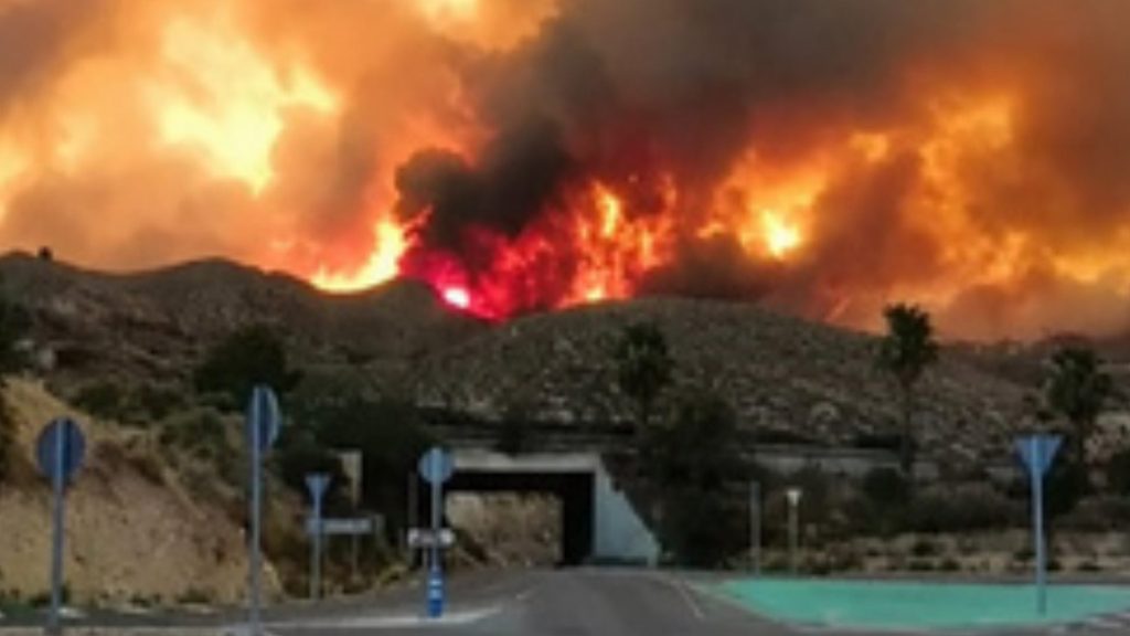 VIDEO: Al menos 12 muertos y 19 desaparecidos por incendio forestal en el sur de España