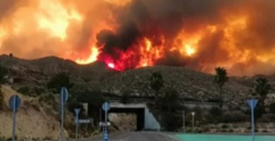 VIDEO: Al menos 12 muertos y 19 desaparecidos por incendio forestal en el sur de España