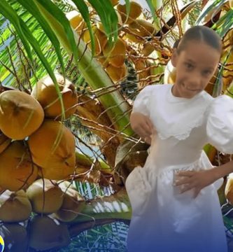 Muere niña de 11 años tras caerle encima una mata de coco en Nagua