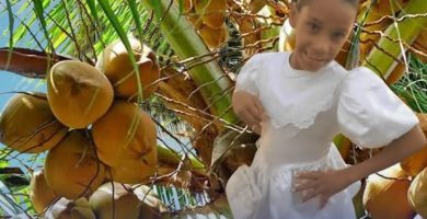 Muere niña de 11 años tras caerle encima una mata de coco en Nagua