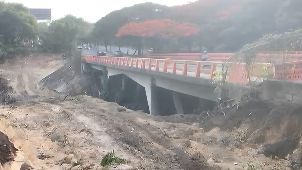 Denuncian tala de miles de árboles por ampliación de avenida Los Próceres