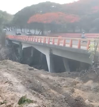 Denuncian tala de miles de árboles por ampliación de avenida Los Próceres