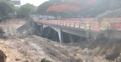 Denuncian tala de miles de árboles por ampliación de avenida Los Próceres