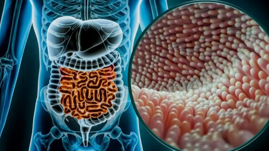 “Diarrea explosiva” pone en alerta a EE.UU.: el parásito invisible que ya deja miles de casos y apunta a la comida fresca