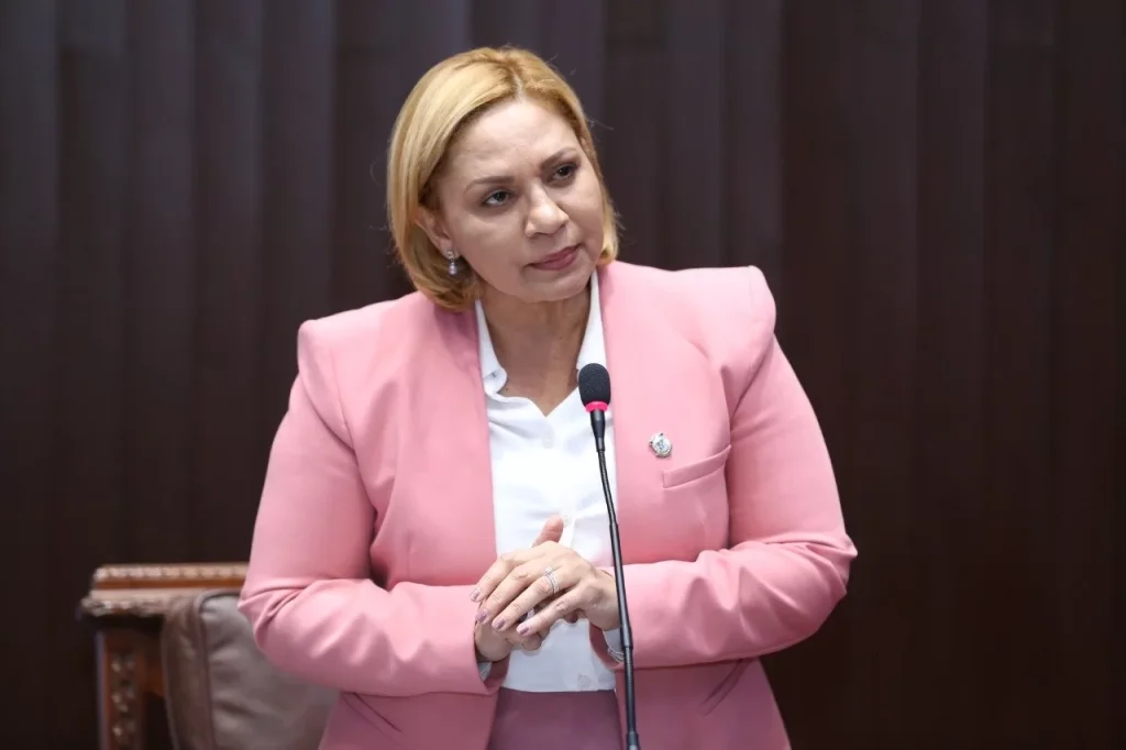 Soraya Suárez afirma que las tres causales del aborto no serán discutidas en comisión bicameral