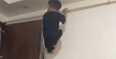 “¿Cómo llegaron ahí?” Madre pide a sus hijos repetir la hazaña y sorprenden a todos