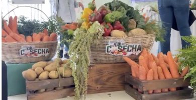 Inicia en Constanza el Festival de la Cosecha, la gran fiesta de la agricultura dominicana