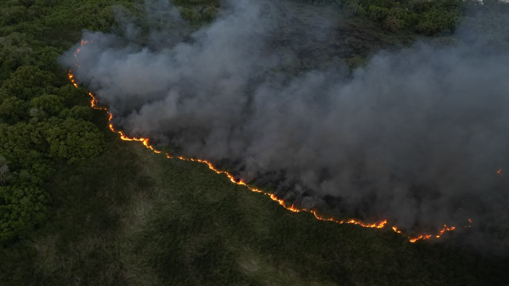 Sofocan incendio en la Laguna Mallén
