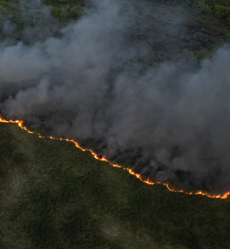 Sofocan incendio en la Laguna Mallén