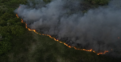 Sofocan incendio en la Laguna Mallén