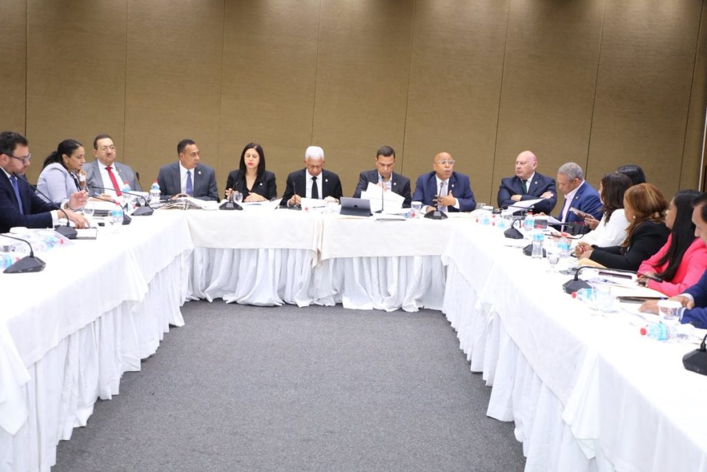 Comisión que estudia reforma al Código Penal levanta reunión hasta que subcomisión concluya revisión