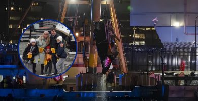 Revelan helicóptero en que murió familia española en 2025 se habría desplomado tras aves impactar aeronave