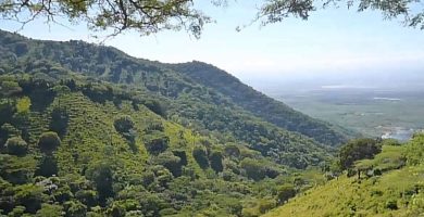 Academia de Ciencias concluye en informe que no es prudente otorgar permisos de exploración minera en la Cordillera Septentrional