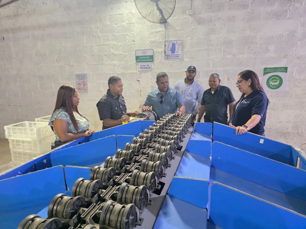 República Dominicana exporta aguacate Hass orgánico a Europa y Estados Unidos