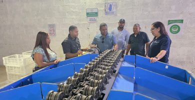 República Dominicana exporta aguacate Hass orgánico a Europa y Estados Unidos