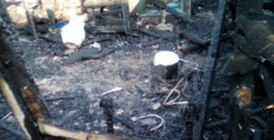 VIDEO: Un hombre pierde la vida tras incendio en Cambita, San Cristóbal