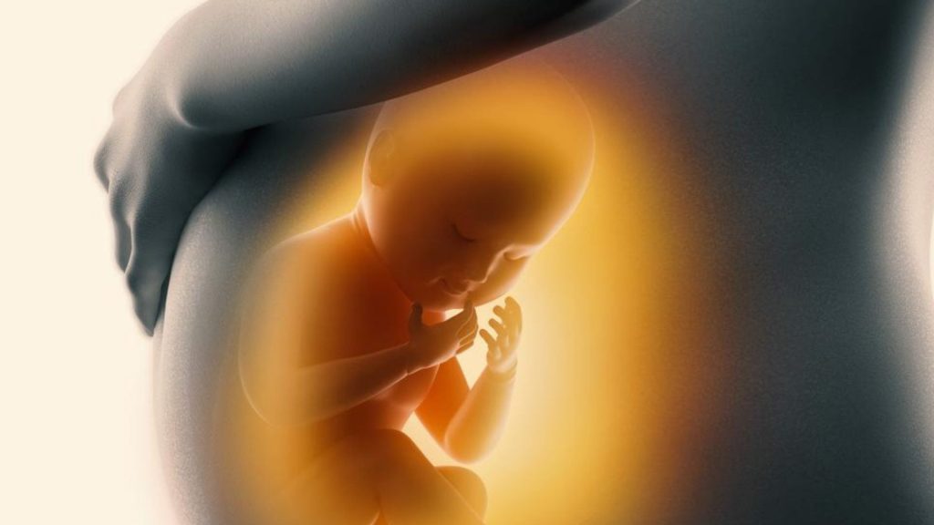 Congreso Nacional de Honduras aprueba moción para investigar a organizaciones que presuntamente promueven abortos en redes