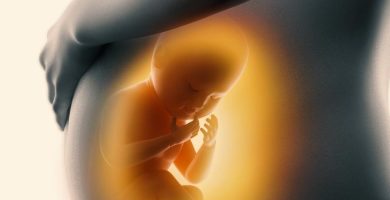 Congreso Nacional de Honduras aprueba moción para investigar a organizaciones que presuntamente promueven abortos en redes