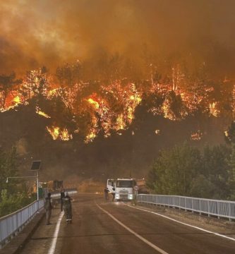 Incendio forestal afecta la costa mediterránea de Turquía en plena ola de calor