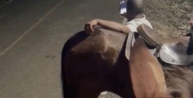 Denuncian presunto maltrato animal durante carreras clandestinas de caballos en Bonao