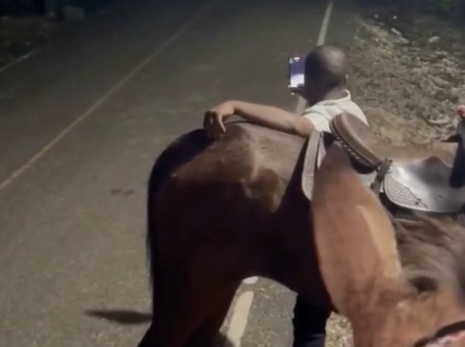 Denuncian presunto maltrato animal durante carreras clandestinas de caballos en Bonao
