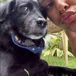 “He sido fuerte cada día”: Tokischa llora tras una semana sin encontrar a su perrita Espiral