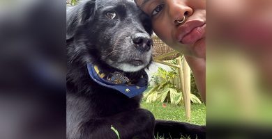 “He sido fuerte cada día”: Tokischa llora tras una semana sin encontrar a su perrita Espiral