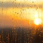 Cielo despejado en horas matutinas y solo aguaceros dispersos en la tarde por vaguada