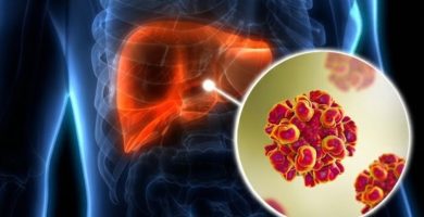 OMS: muertes por hepatitis siguen sin bajar, en contraste con el sida o la tuberculosis