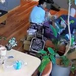 ¡Calma, organización y sin caos! Así reaccionaron japoneses tras terremoto de magnitud 7.1
