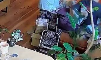 ¡Calma, organización y sin caos! Así reaccionaron japoneses tras terremoto de magnitud 7.1