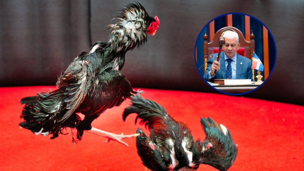 Presidente del Senado aclara que el nuevo Código Penal no prohíbe las peleas de gallos