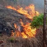 Fuego se extiende por Valle de Dios y afecta cientos de tareas de terreno en zona montañosa de Los Cacaos
