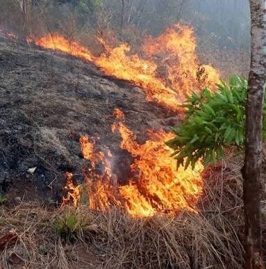 Fuego se extiende por Valle de Dios y afecta cientos de tareas de terreno en zona montañosa de Los Cacaos