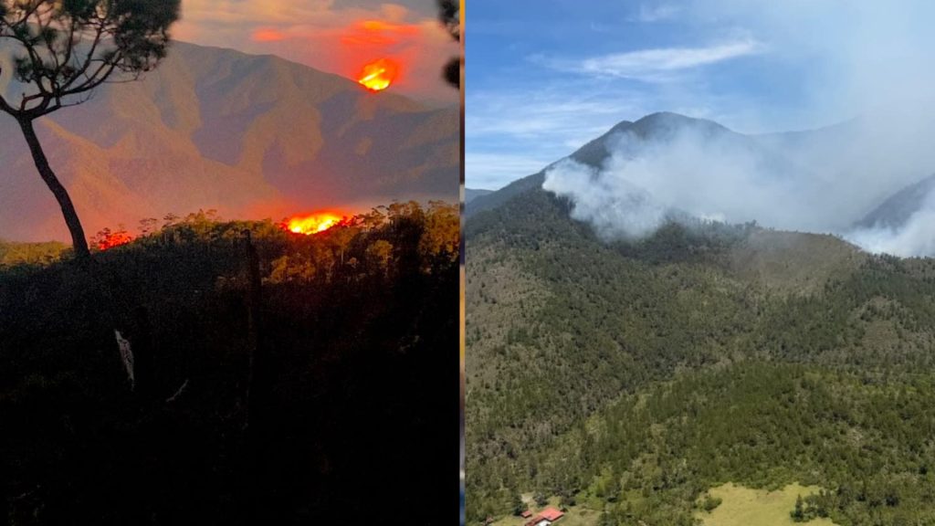 Reportan incendio forestal en el Valle del Tetero