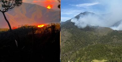 Reportan incendio forestal en el Valle del Tetero