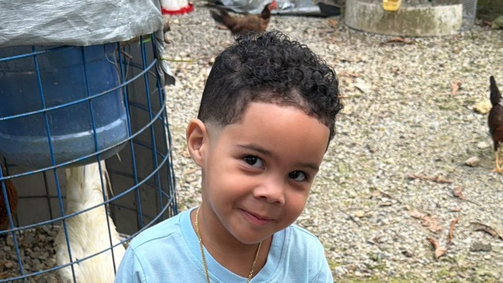 Piden investigar la muerte de un niño de 3 años bajo el cuidado de su padre y su madrastra en Santo Domingo Oeste