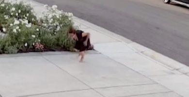 Serpiente muerde mujer que cortaba rosas en su vivienda; la obliga a correr