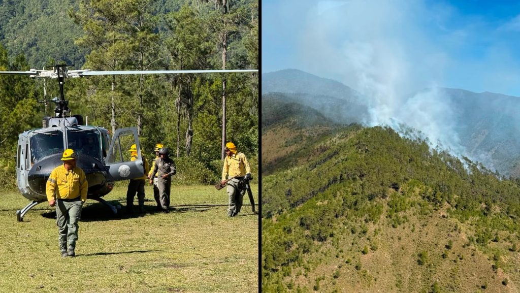 Controlan incendio en el Valle del Tetero tras despliegue de 25 bomberos forestales
