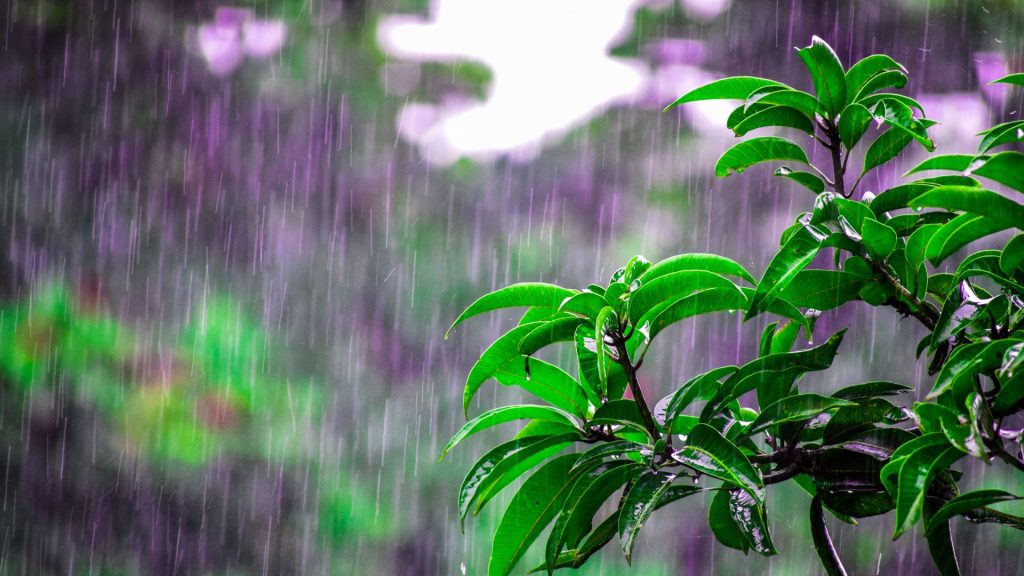 Lluvias desde horas de la mañana en varias provincias del país