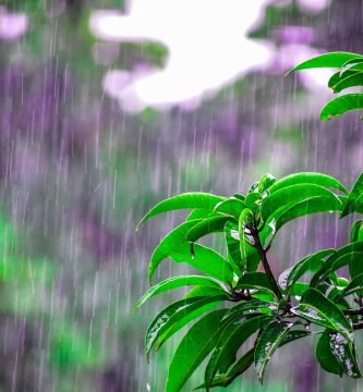 Lluvias desde horas de la mañana en varias provincias del país