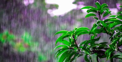 Lluvias desde horas de la mañana en varias provincias del país
