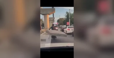 VIDEO de hombre con su mascota en Santiago se vuelve viral