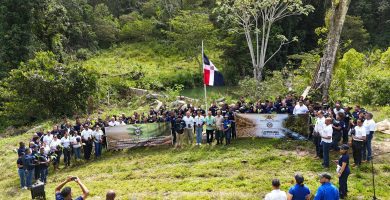 Siembran más de 1,000 plantas de manacla para proteger fuentes hídricas en Manabao