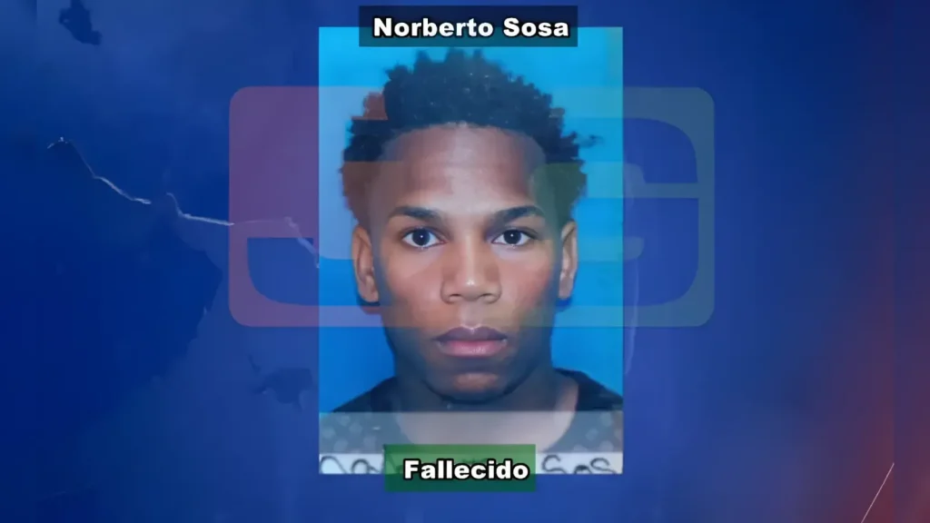 Triste suceso en Palmar Arriba deja un joven sin existencia